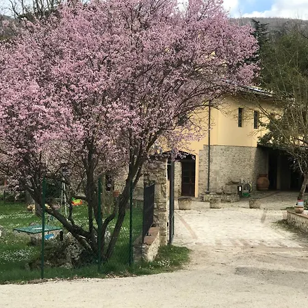 Il Vecchio Mulino-2